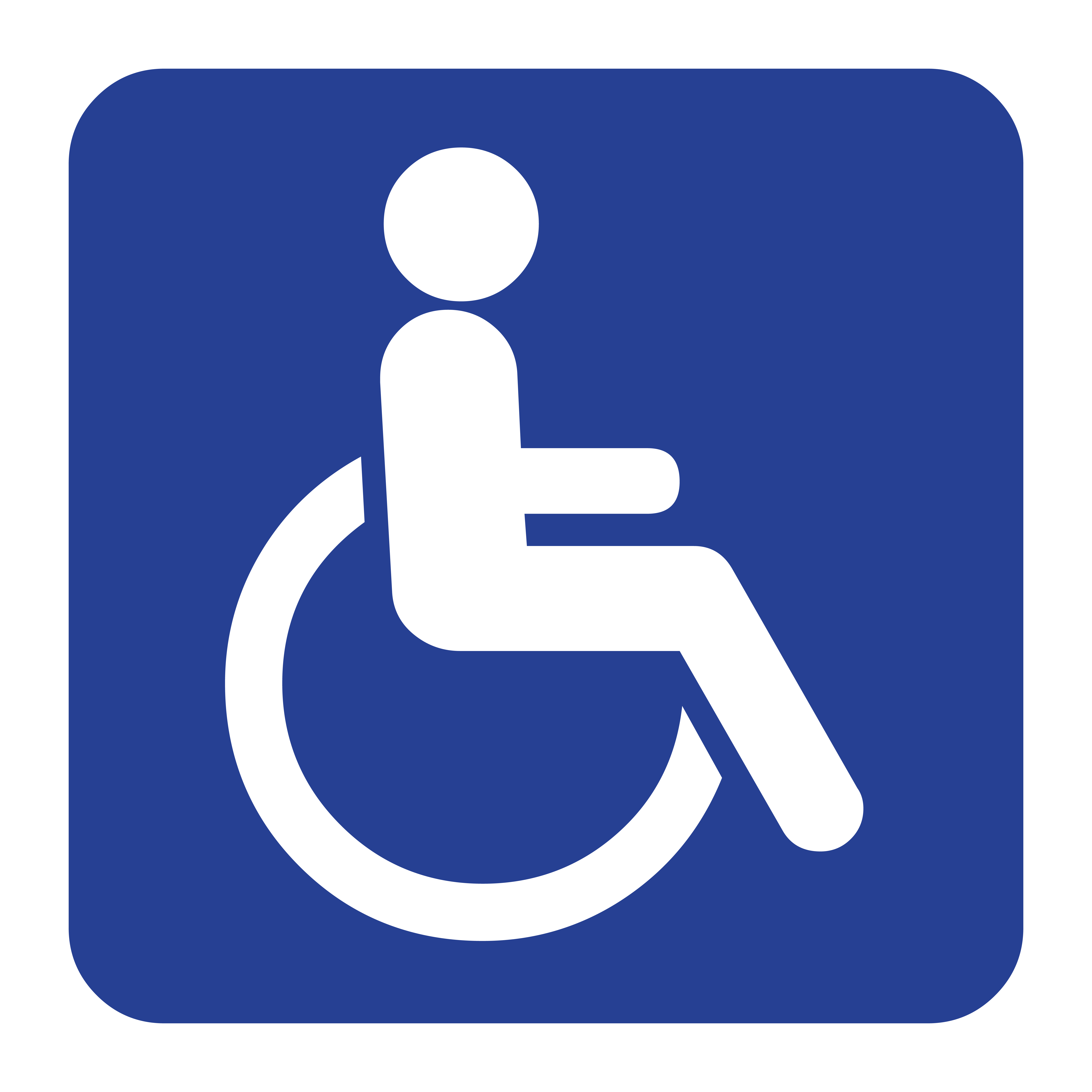 Accessibility Tools